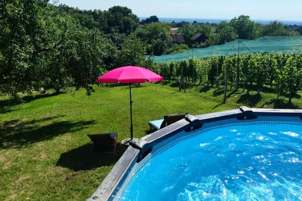 Kuca Za Odmor Villa Cesarica - Zagreb Graberje Ivanićko Eksteriør billede