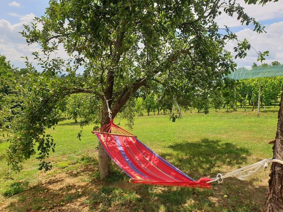Kuca Za Odmor Villa Cesarica - Zagreb Graberje Ivanićko Eksteriør billede